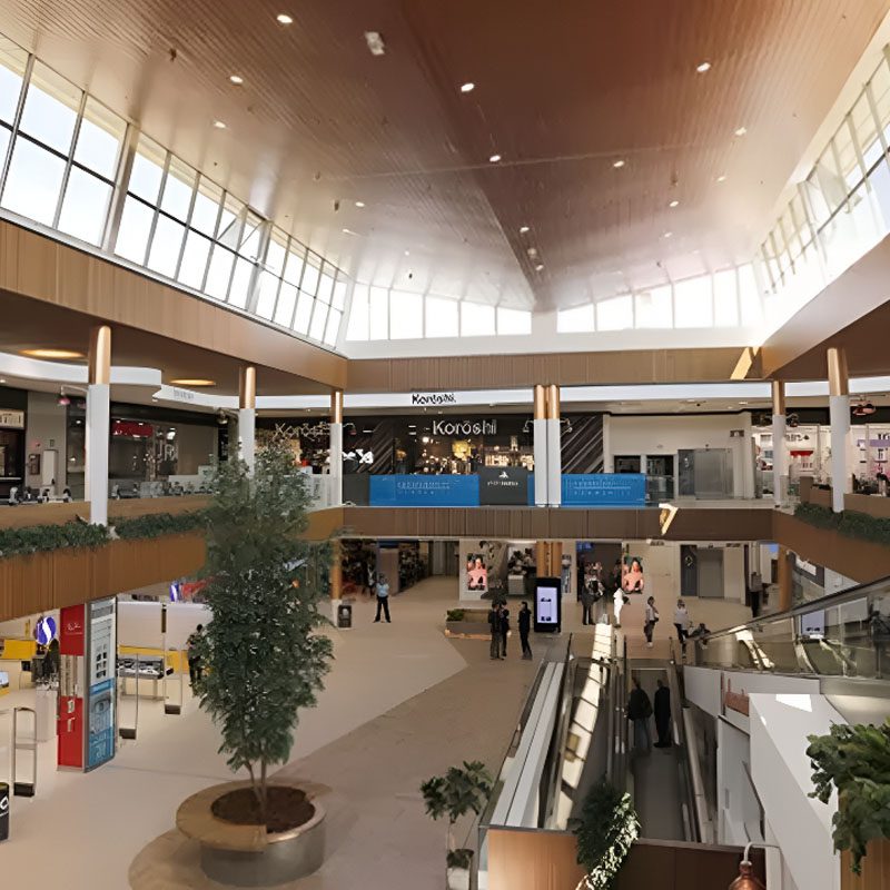 buscas-espacio-temporal2__2